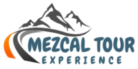 Mezcal Tour Experience