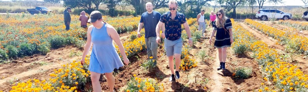 Imagen de WhatsApp 2025-11-16 a las 09.17.13_7629ed2f